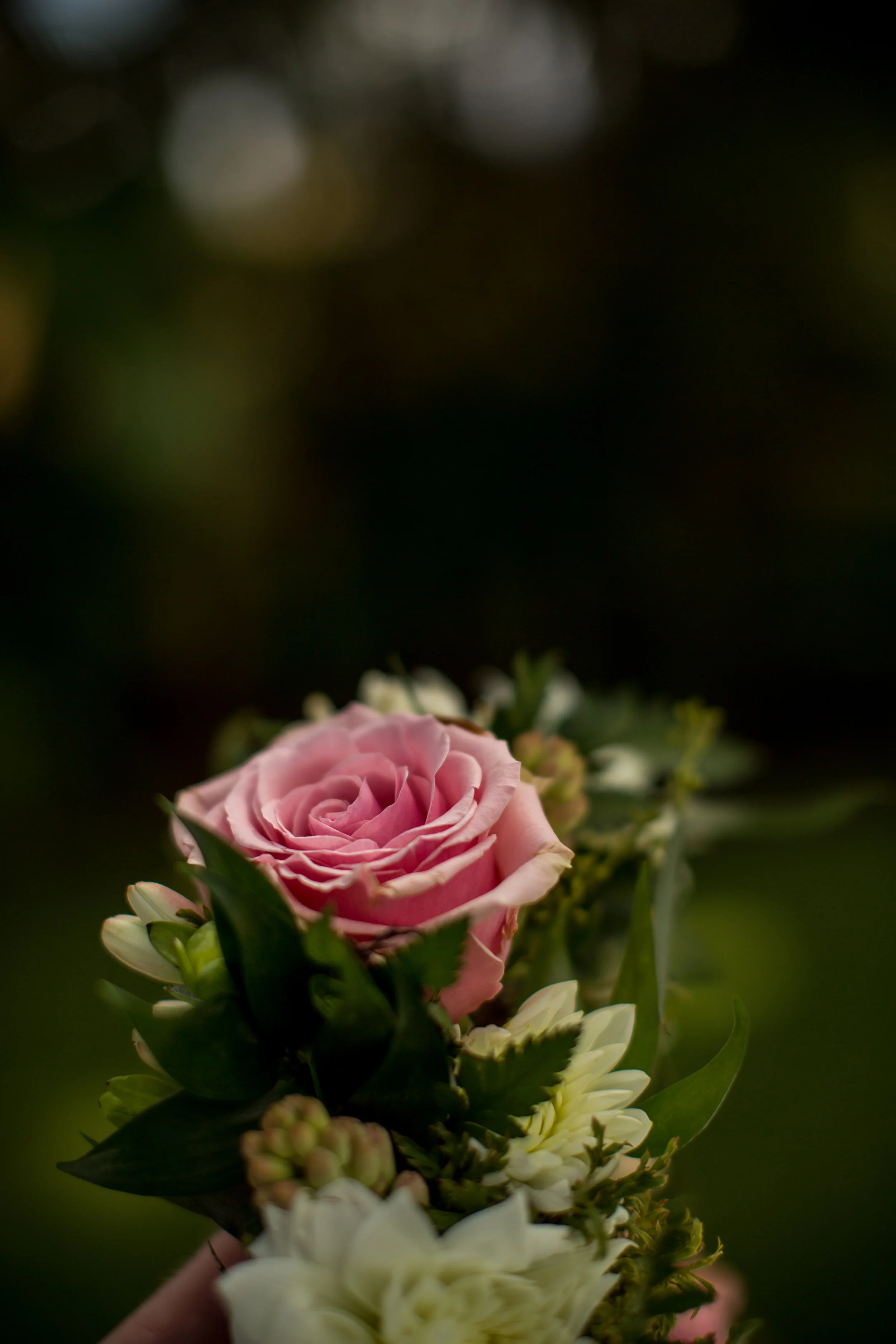 026_kauaphotography.jpg