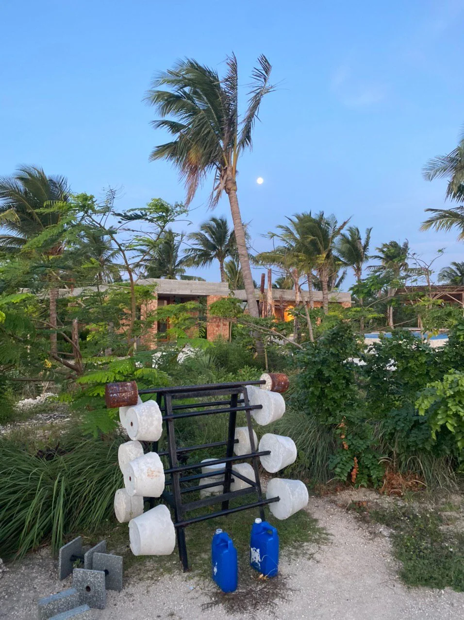 photo_2021-03-31 14.13.41.jpeg