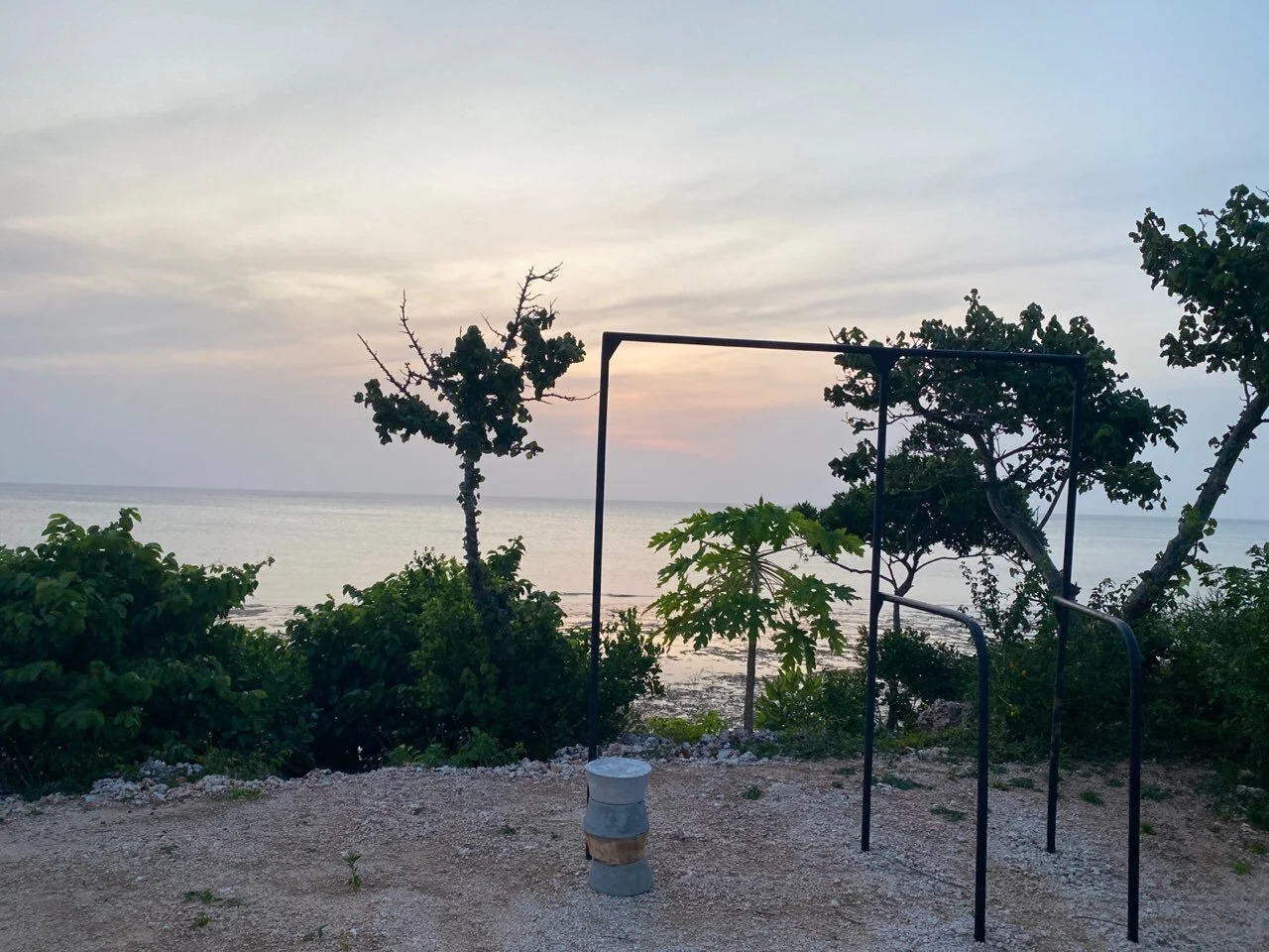 photo_2021-03-31 14.13.52.jpeg