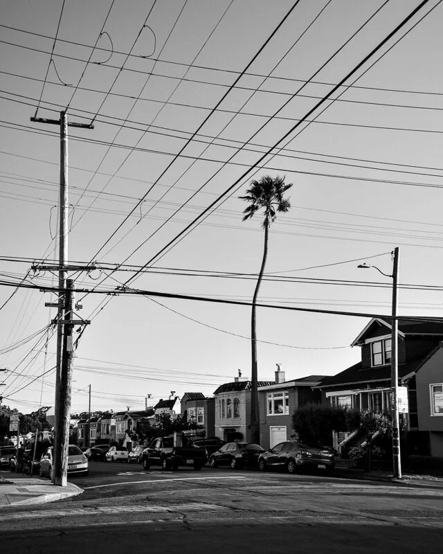 suburbia-outer-sunset-neighborhood-palm-tree-power-lines-san-francisco-fine-art wall-print.jpg