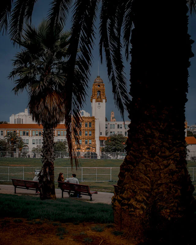 dolores-park-high-school-palm-trees-picnic-sunny-day-san-francisco-fine-art-wall-print.jpg