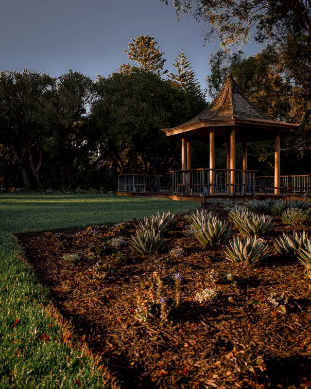 golden-gate-park-botanical-gardens-architecture-san-francisco-fine-art-wall-print.jpg