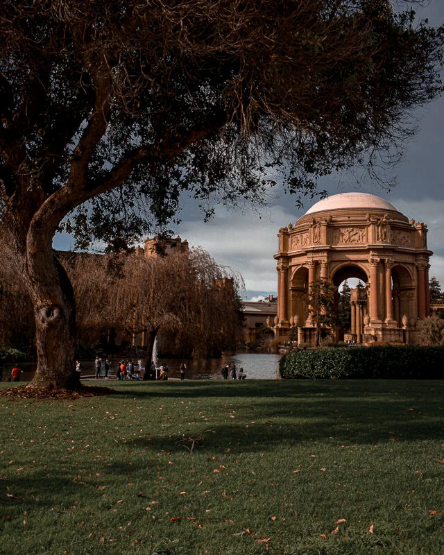 palace-of-fine-arts-tree-san-francisco-wall-print.jpg
