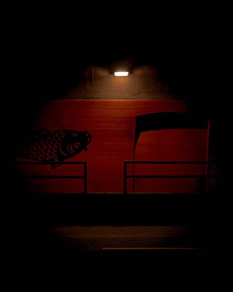 San-Francisco-California-Fine-Art-Photography-Wall-Print-Urban-City-Chinatown-Koi-Fish-Tunnel.jpg