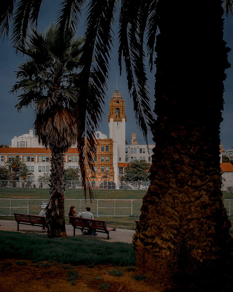 San-Francisco-California-Fine-Art-Photography-Wall-Print-Urban-City-Dolores-Park-Palm-Trees-Mission-High-School.jpg