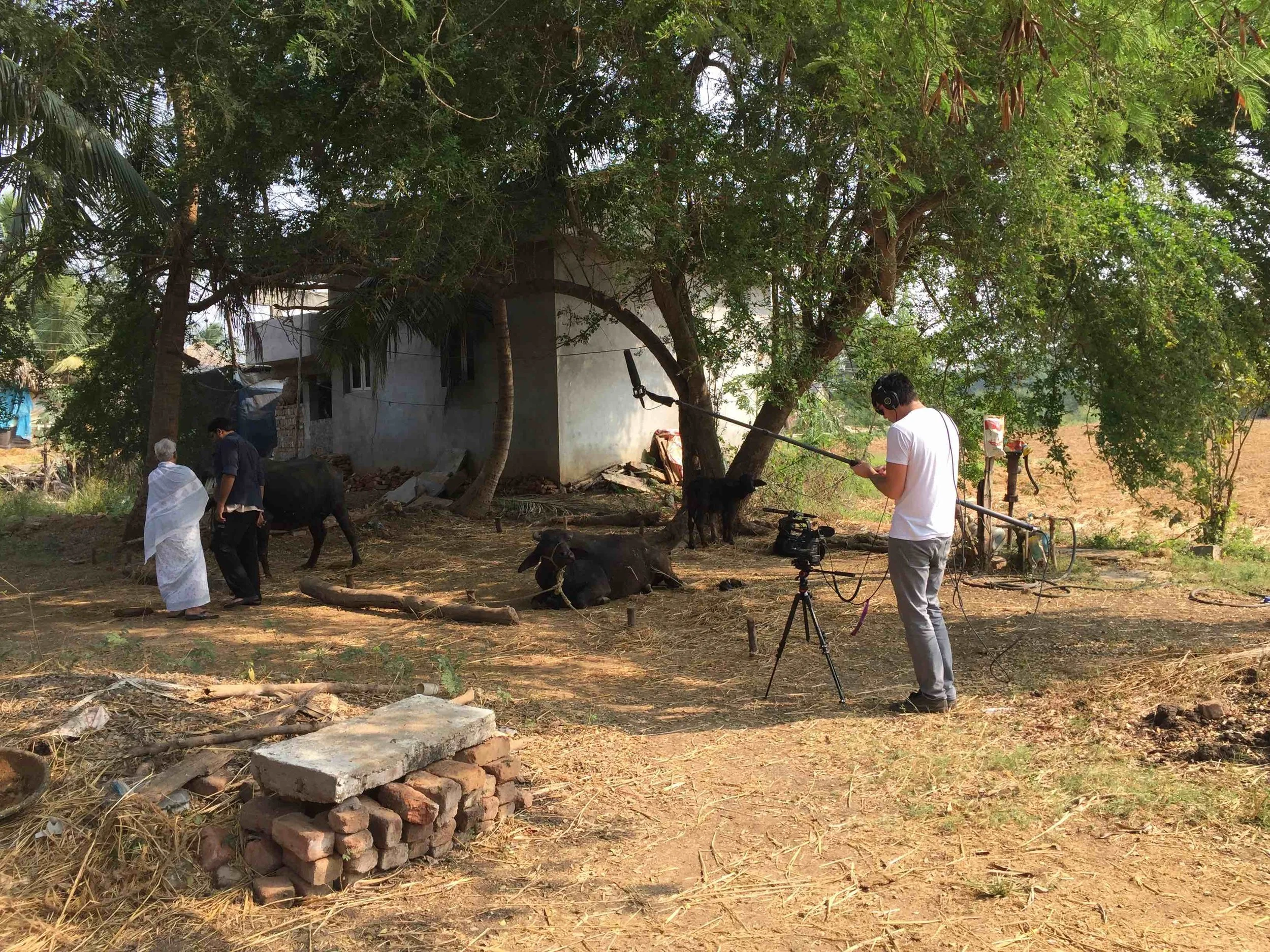 Mamillapalli, Andhra Pradesh, India