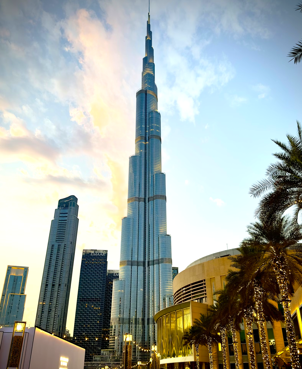 العربية - Arabic