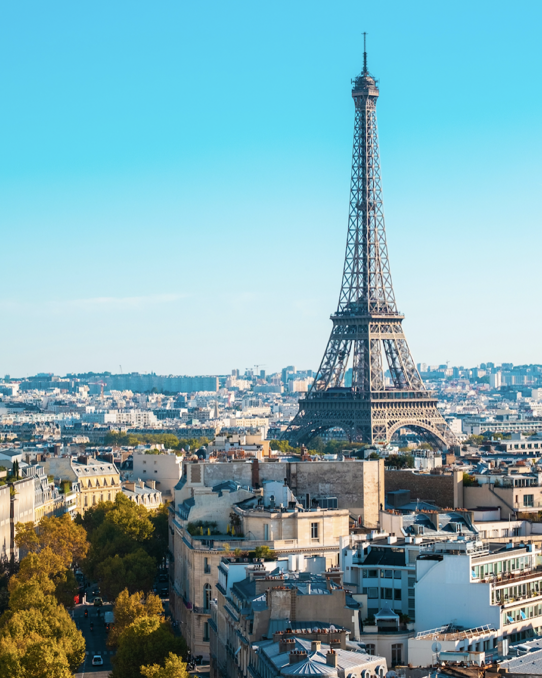 Why France?