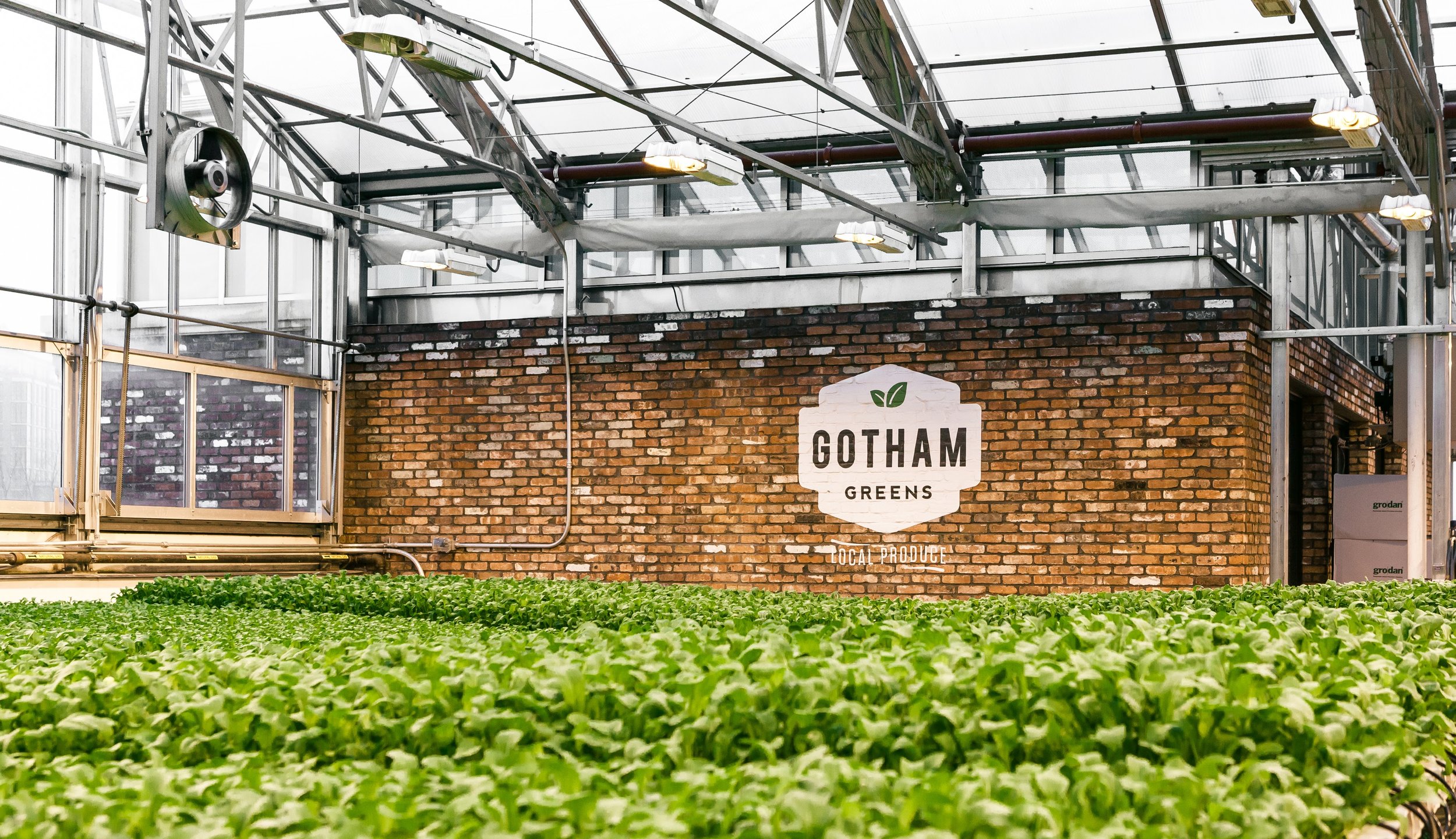 Our Farms - Gotham Greens