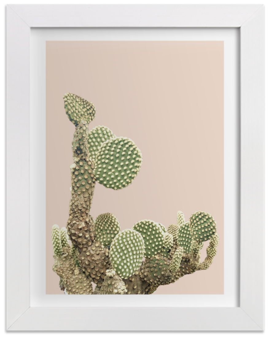 Cactus Coins Wall Art