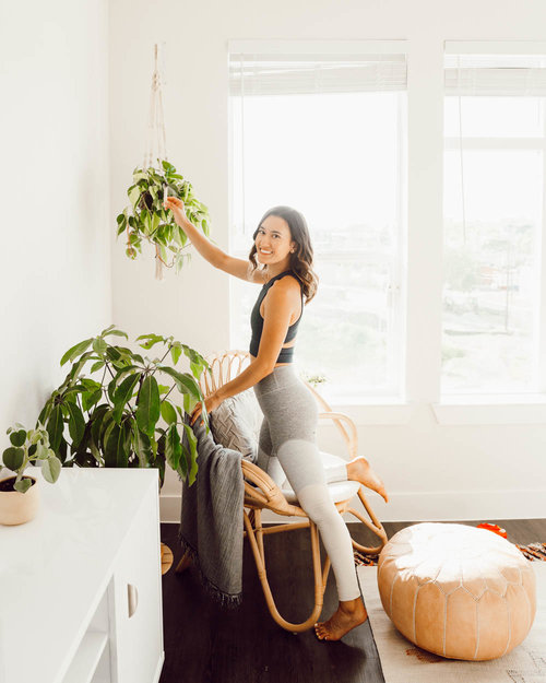 A Quick Guide to Houseplants for Beginners — Jules Acree