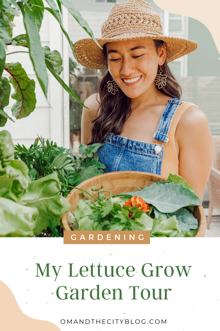 Lettuce Grow Garden Tour 🥬 Easy Growing for Beginners and Small-Spaces — Jules Acree