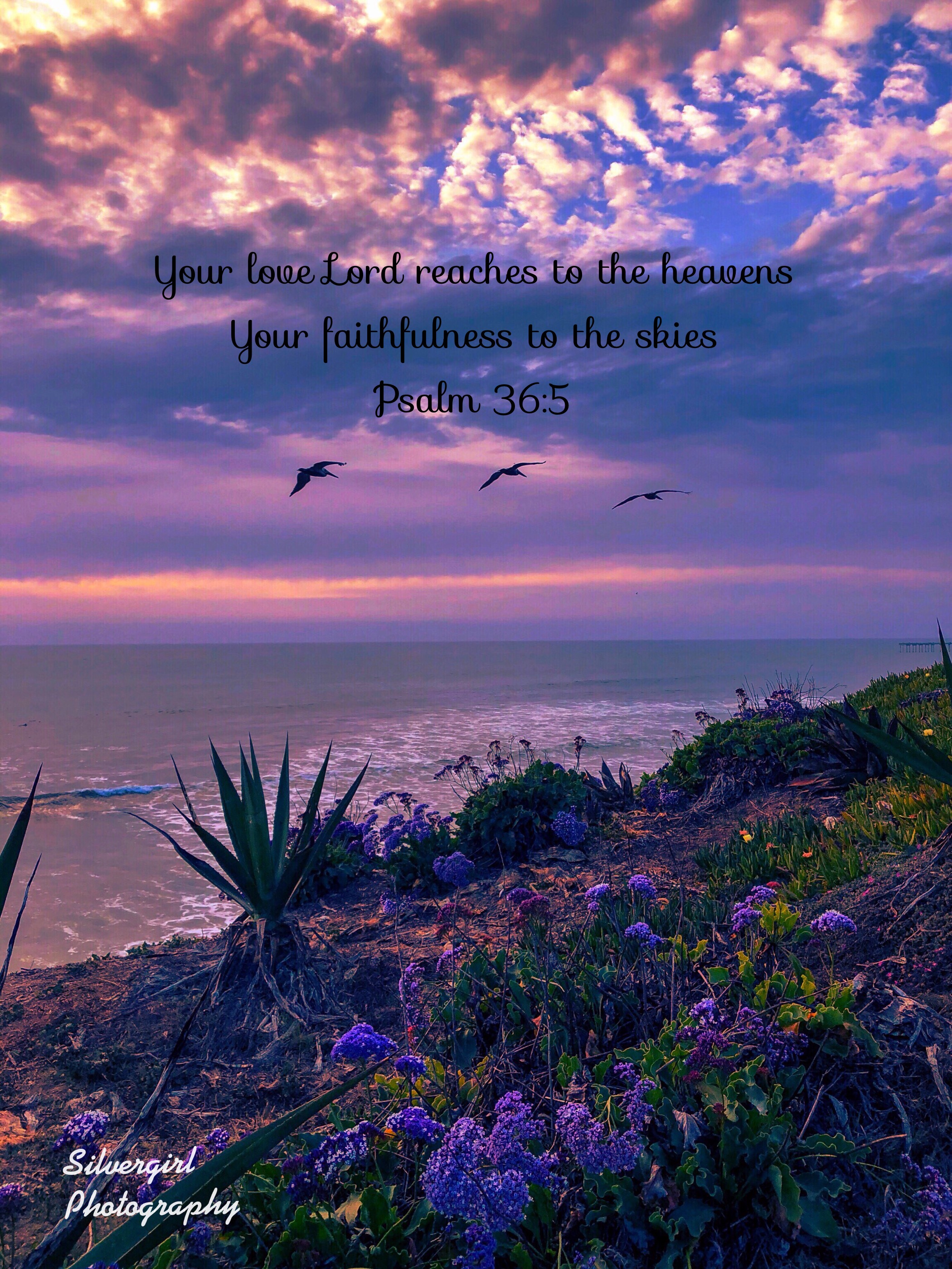 15. Sunset at Ocean Beach