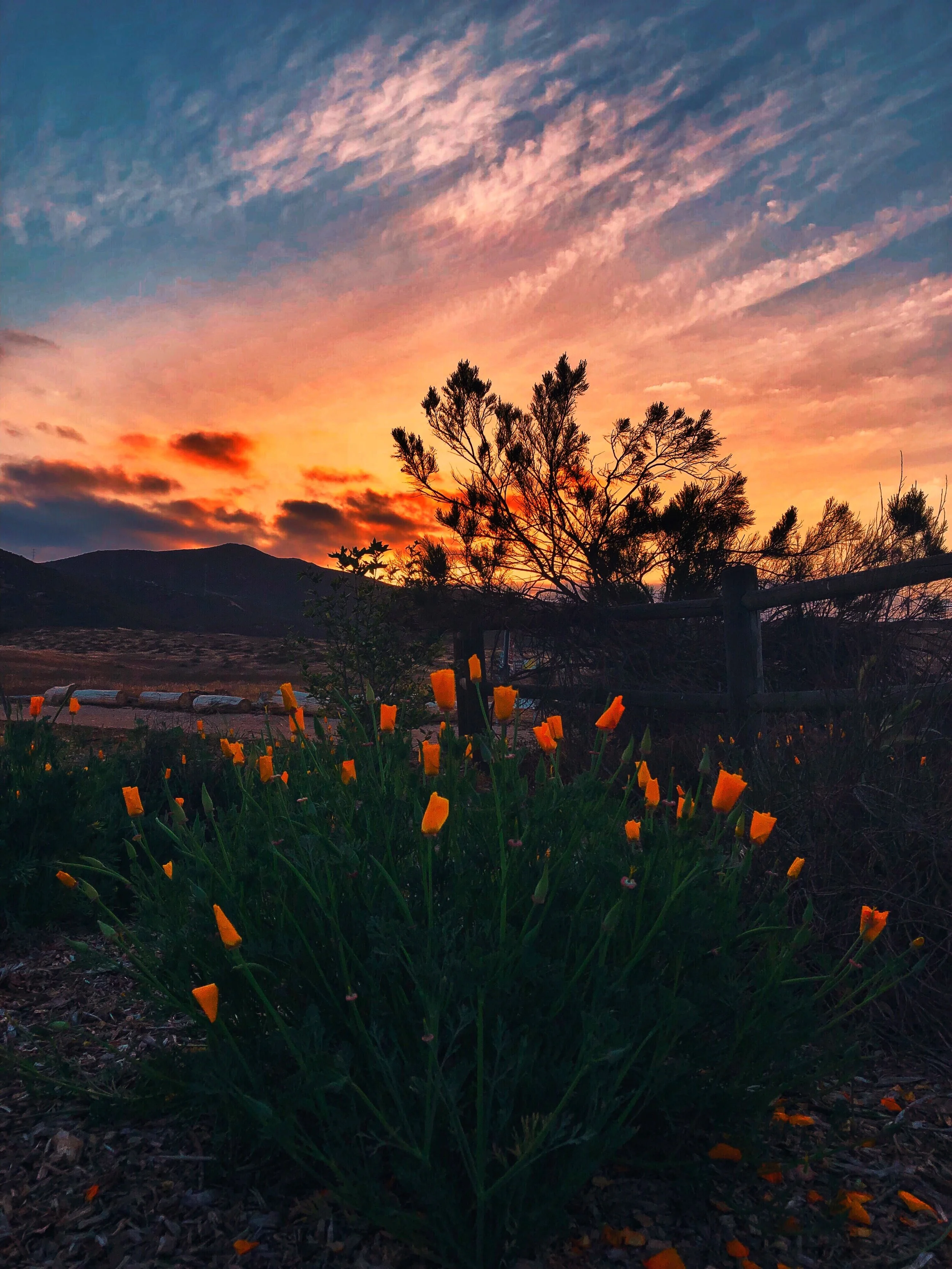 67. Sunset at Mission Trails, San Diego