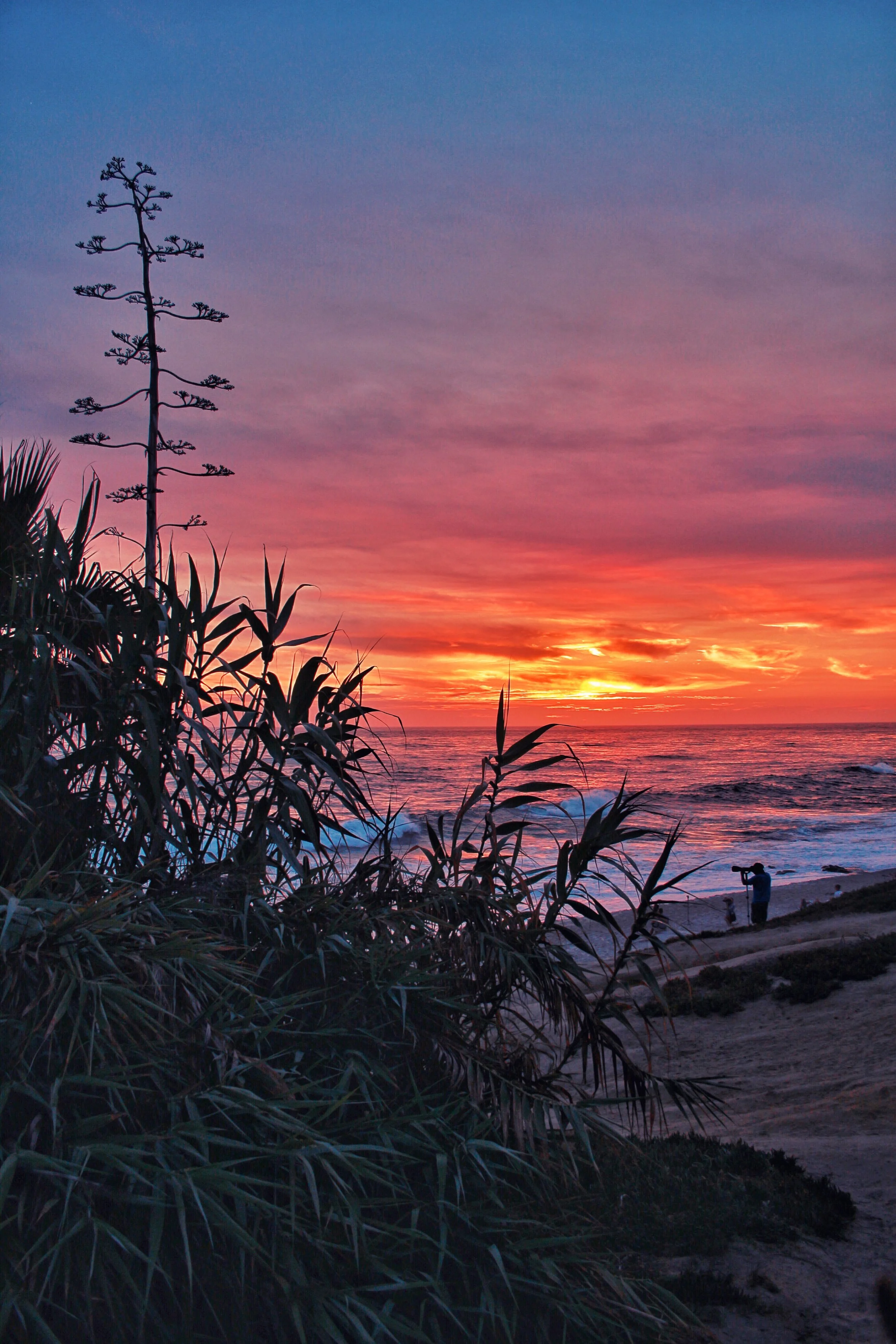 94. Sunset at Windansea Beach, La Jolla, CA