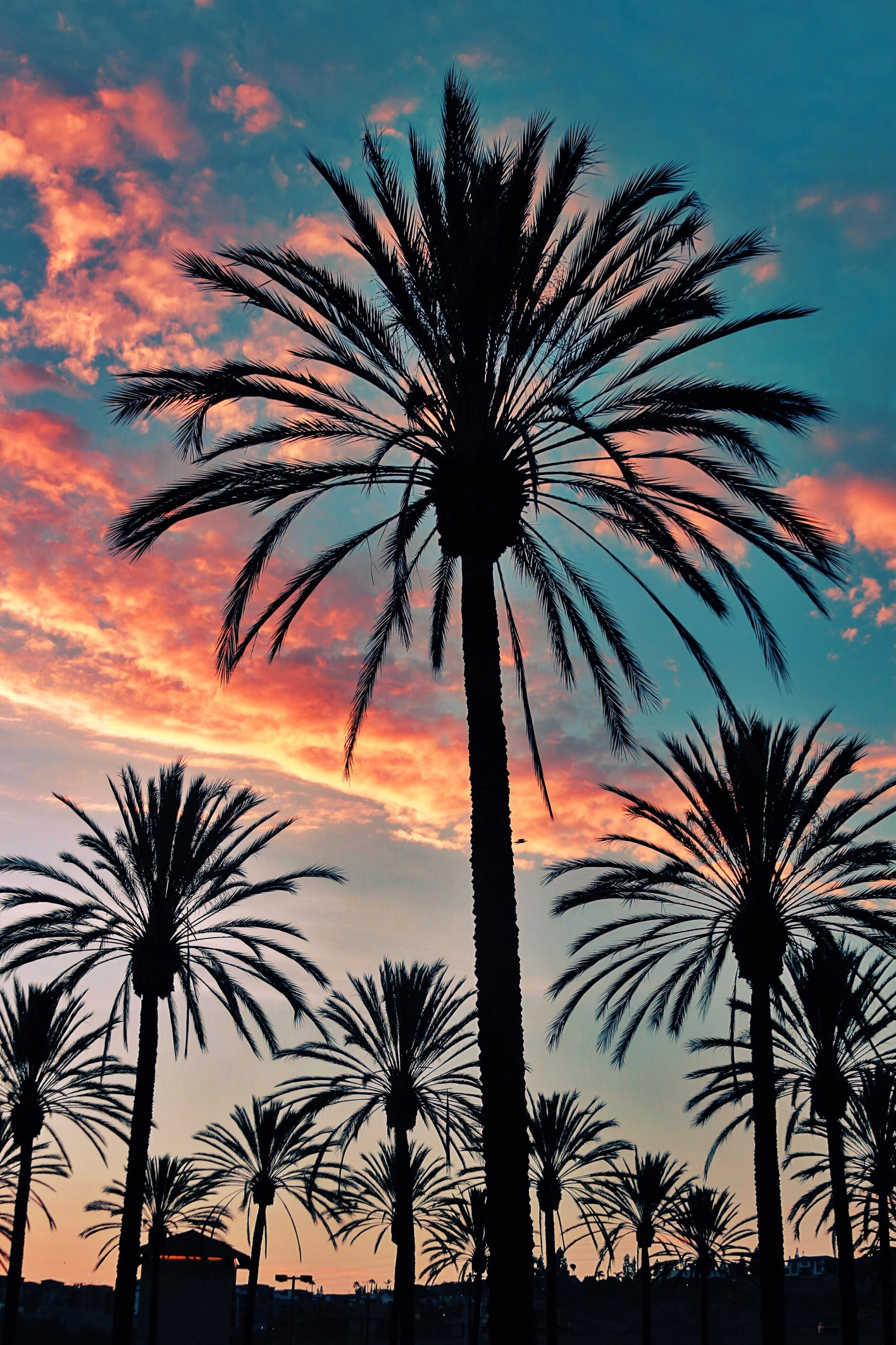 97. Sunset in San Diego, CA