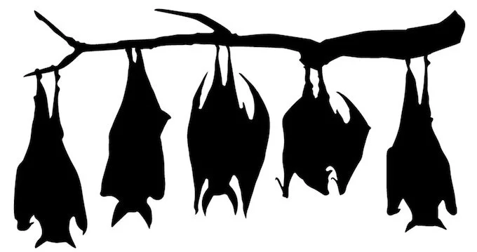 DEE15F5A-1A7A-4937-804F-C0742A4C6D71