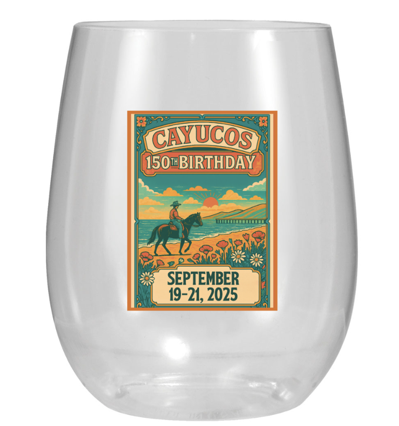 🍷 12 oz. Full-Color Plastic Stemless Wine Glass