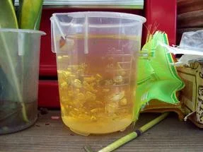 BeakerColor3.jpg