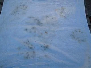 DSCN0755.jpg