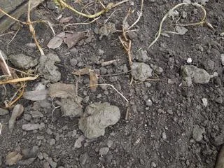 DSCN1544.jpg