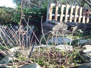 100_8675.jpg