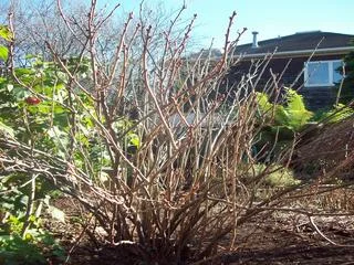 100_8678.jpg
