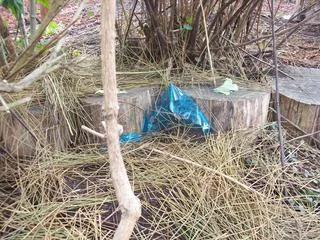 100_8692.jpg