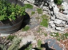 IMG_0497.jpg