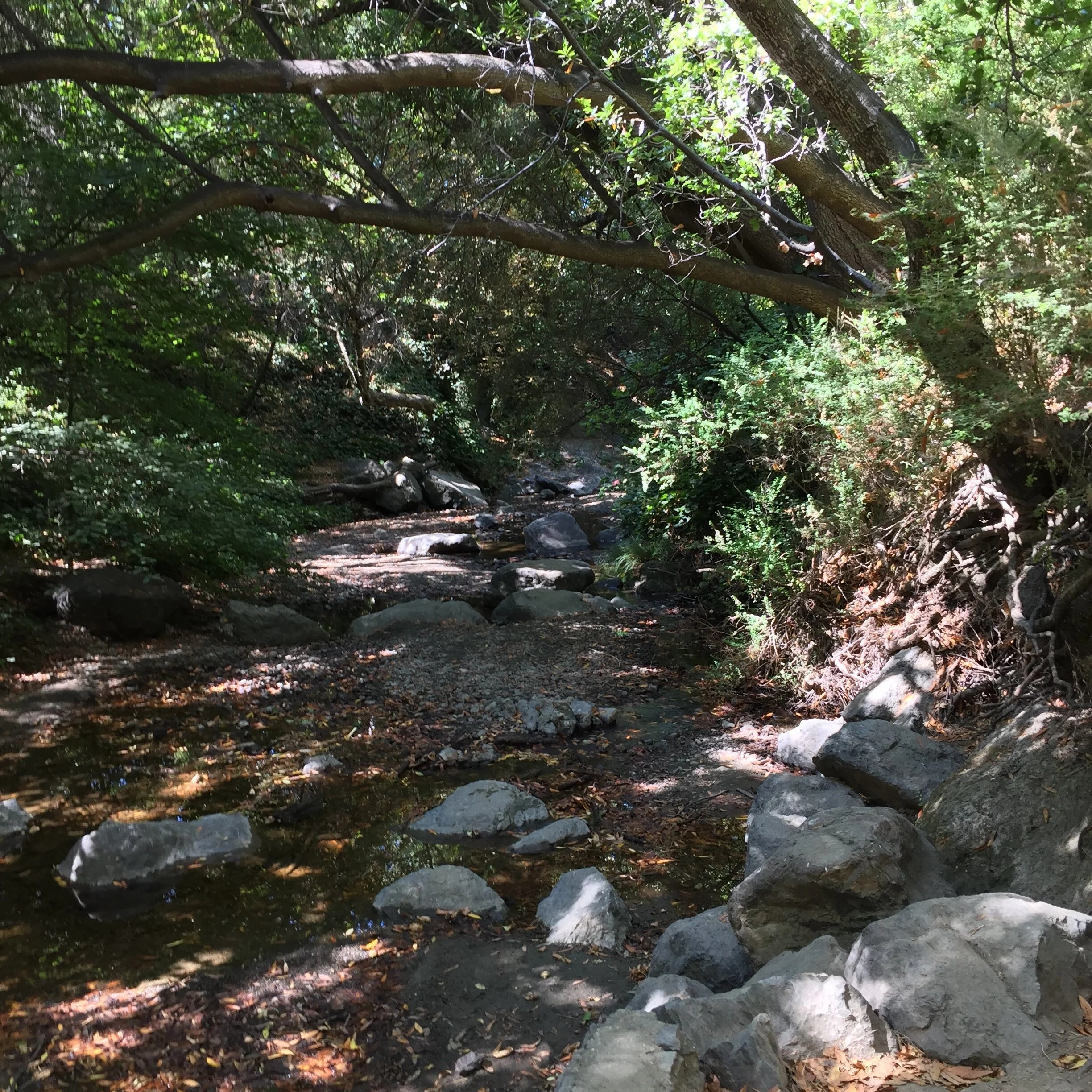 July Newsletter