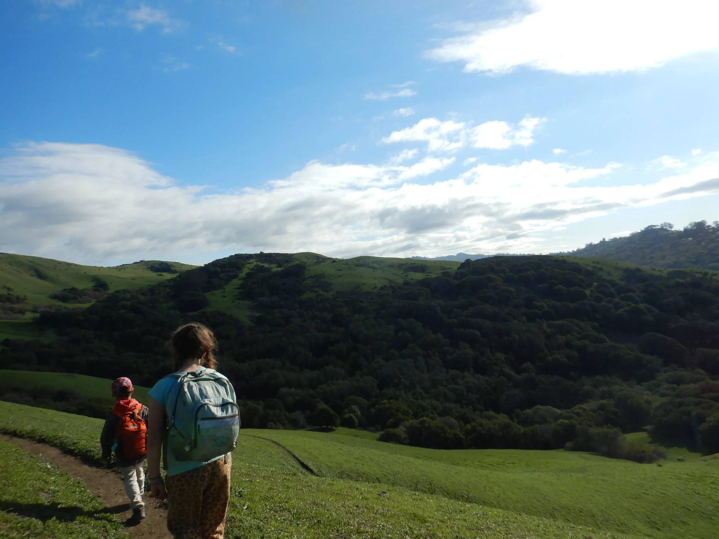 These Days, Alive in the World