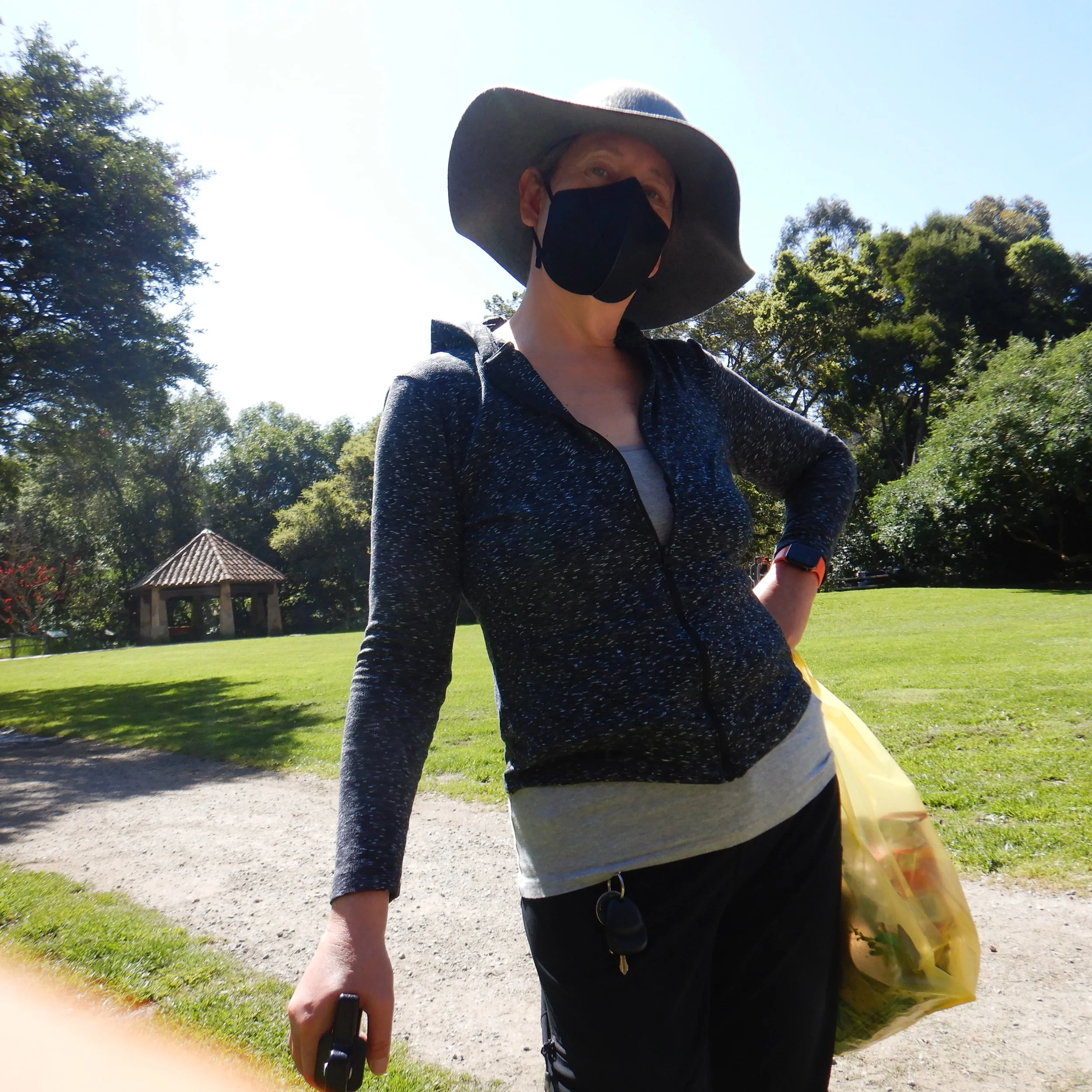 Blue, Green, and Brown