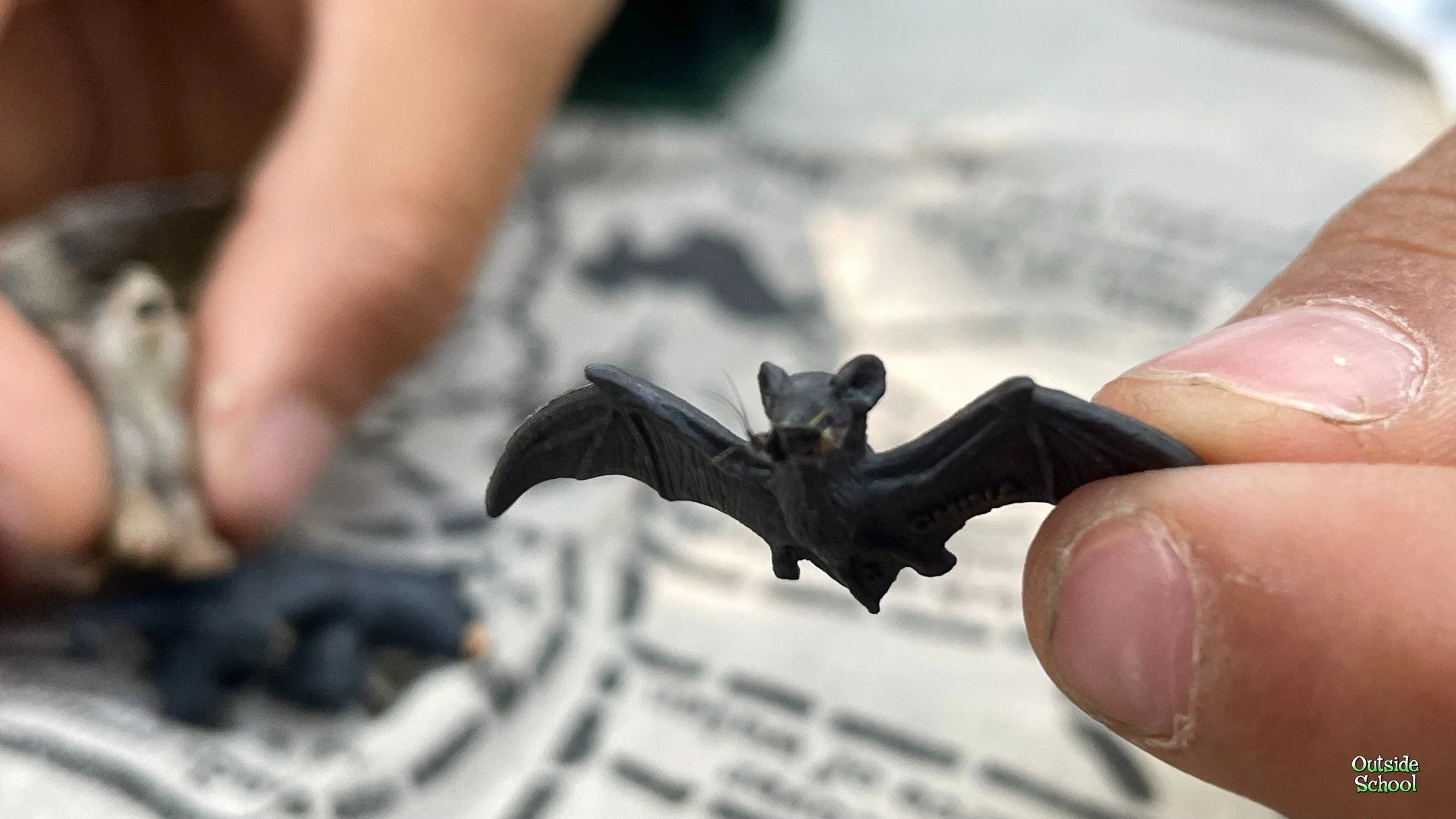 "Life Imitates Art Imitates Life"
At Outside School summer camp we were playing the Bandana Bear game, and the bat game piece actually caught an insect! It's truly the most unexpected, surprising game I've ever played, each and every time.