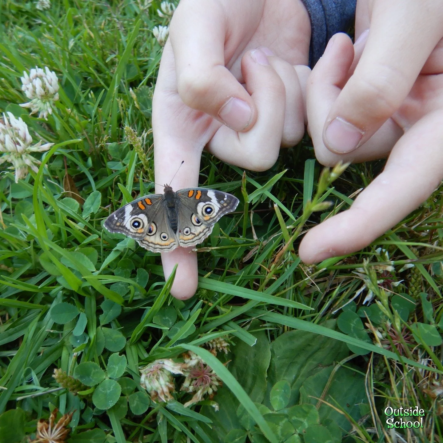 Summer Camp at Outside School is coming up!
For school-age kids (K - 12) in beautiful Wildcat Canyon Regional Park- easy to reach off I-80, The Arlington, and San Pablo Dam Road.
-Monday through Friday
-9:00 - 3:00
Week 1: July 7 - 11, 2025 (last
