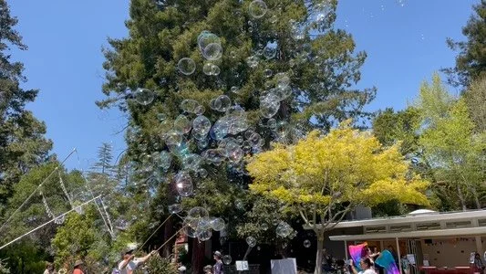 Here until 3:30 today!
Be Outside School!
Join us!
www.outside.school
🐻 🌎 🌈 💞
#eastbayparents
#bayareaparents
#forestschoolbayarea
#forestschool
#natureschool
#unschooling
#hybridschool
#microschool
#enrichment
#outdoorschool
#schoolage
#outd