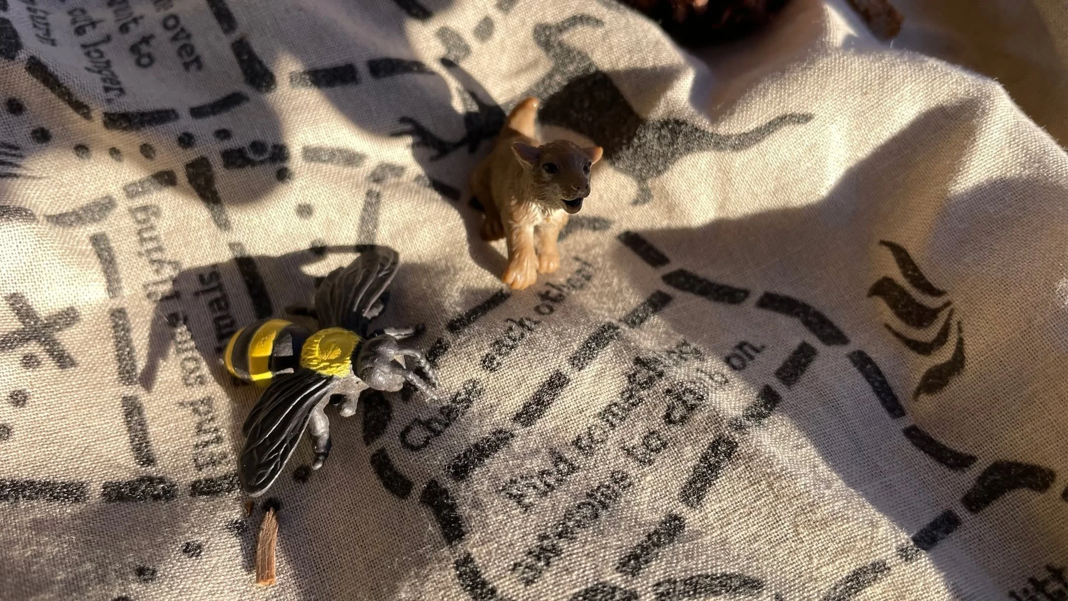 &quot;Chase each other!&quot;

Bandana Bear's adventure game can be played innumerable ways, all of them fun! One student loved the action created every time we landed on the &quot;Chase each other!&quot; field in the Grassy Area SO much, that we dev