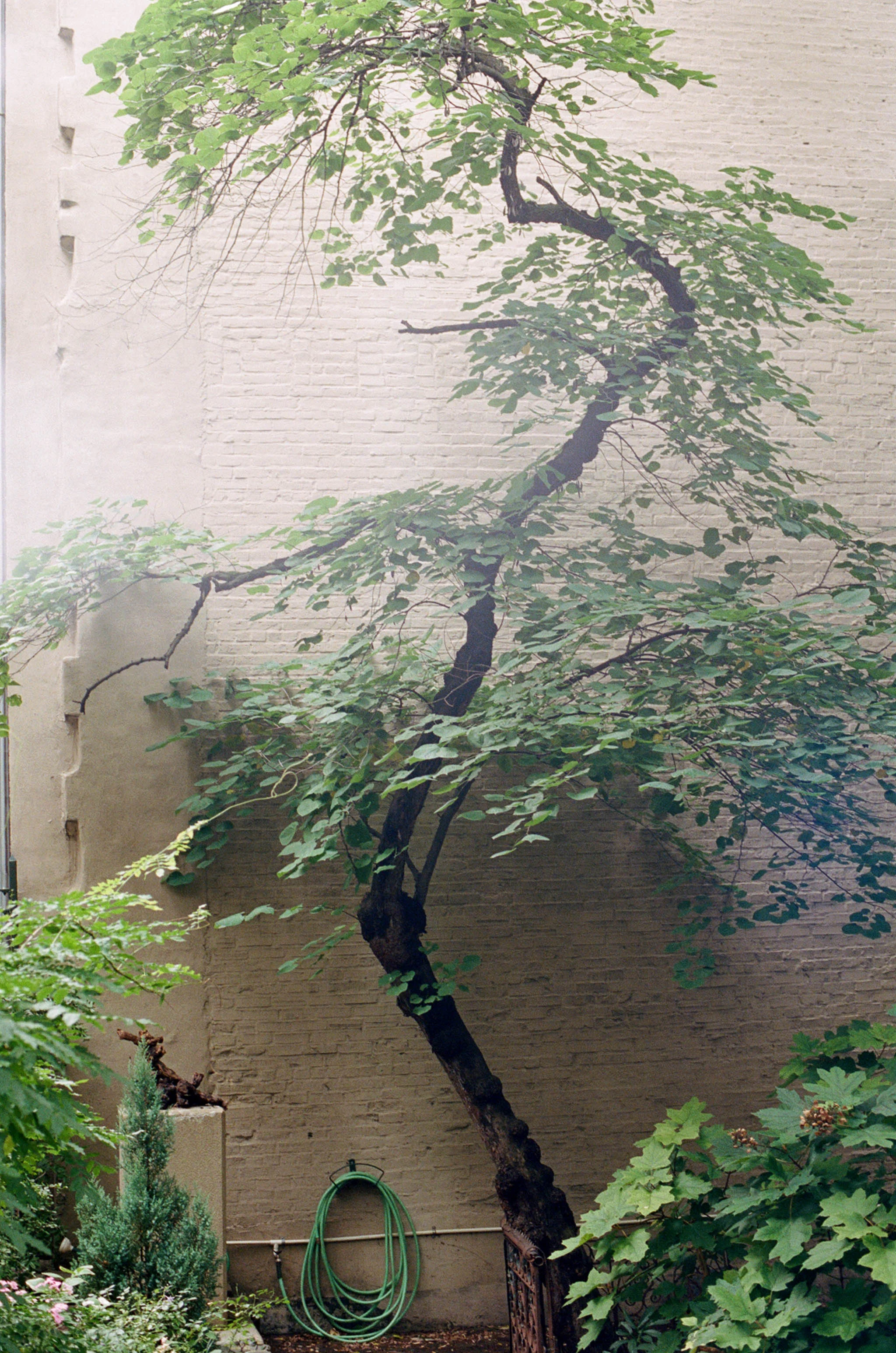 New York, 2018. 35mm.