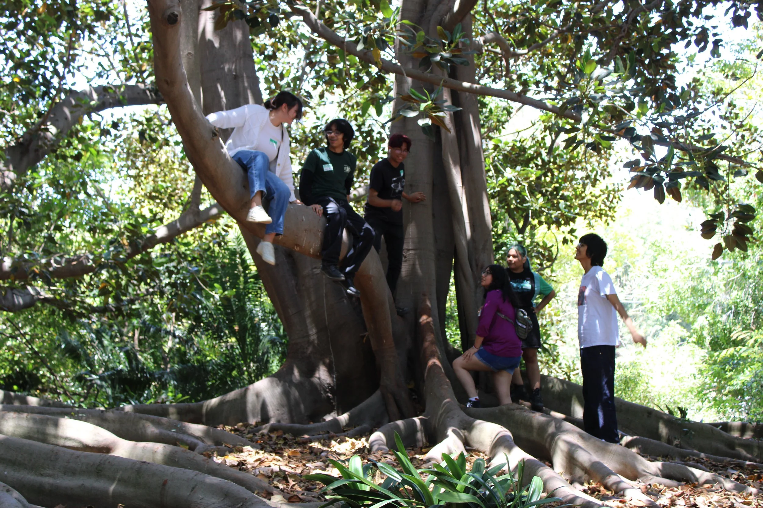 Students at South Coast Botanical Garden, 2023