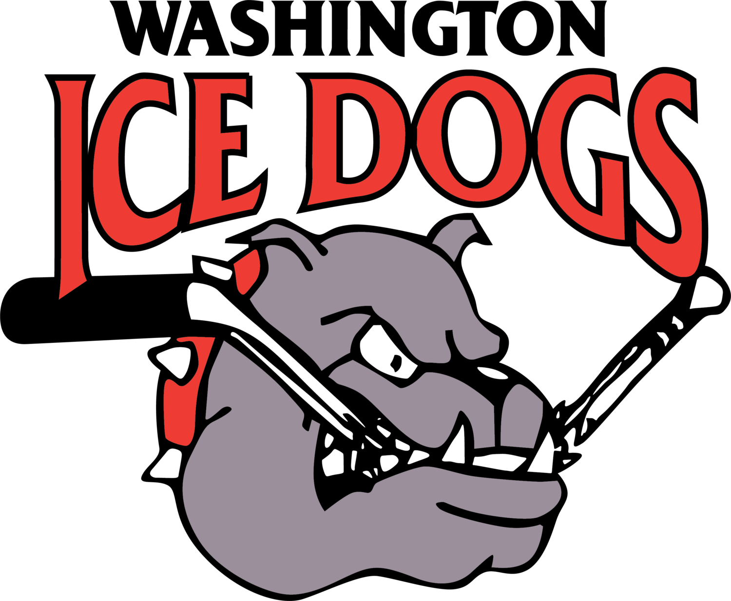 Washington Ice Dogs