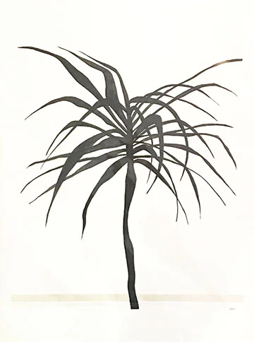 NYC Palm - Lady.LP.jpg