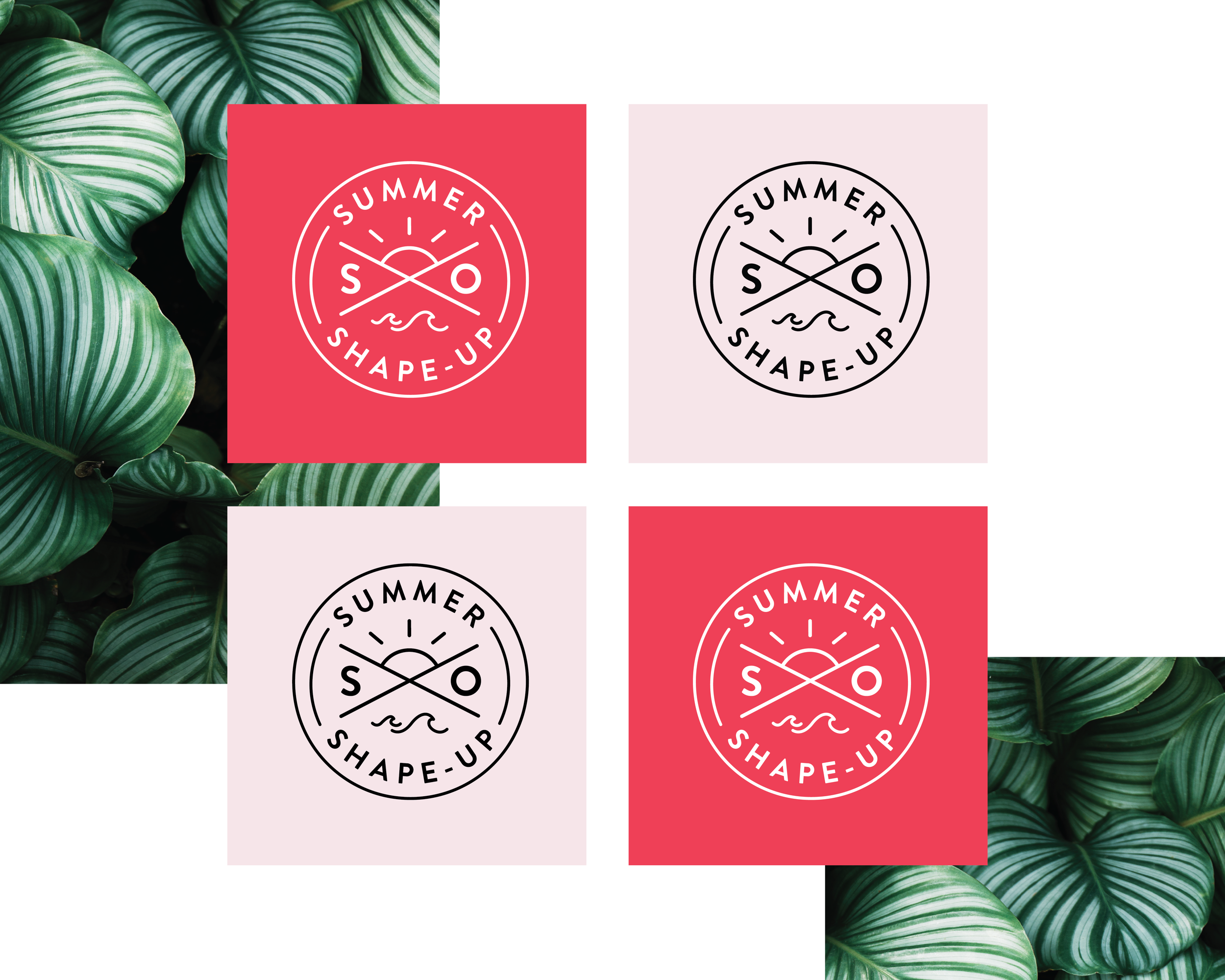 SO-SummerShapeup-LogoMockup-2-01.png