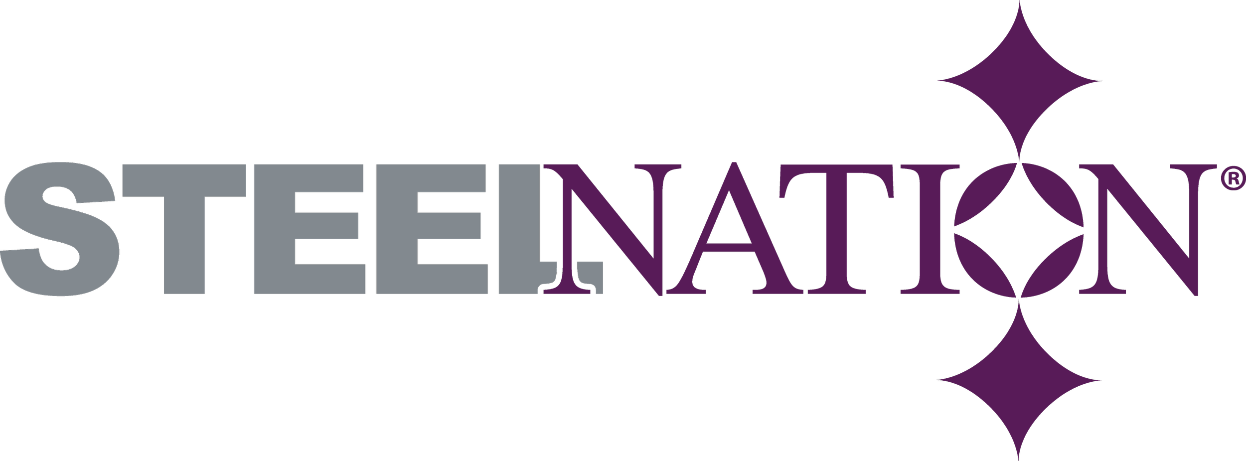 Steel Nation Logo.png