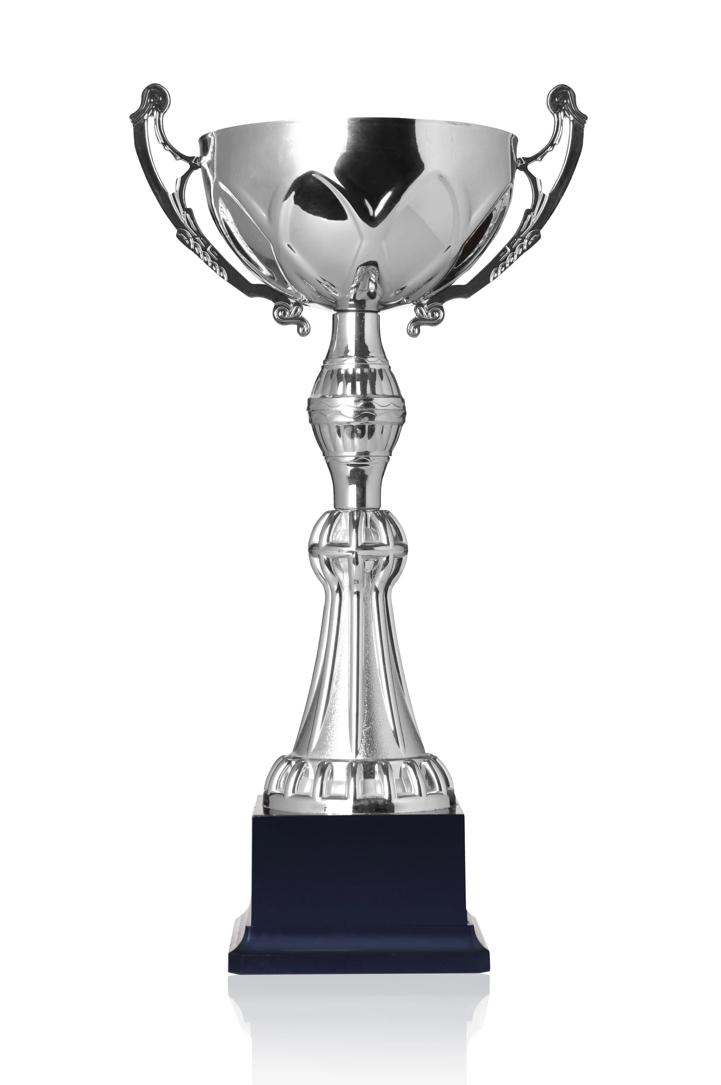 THE CUP