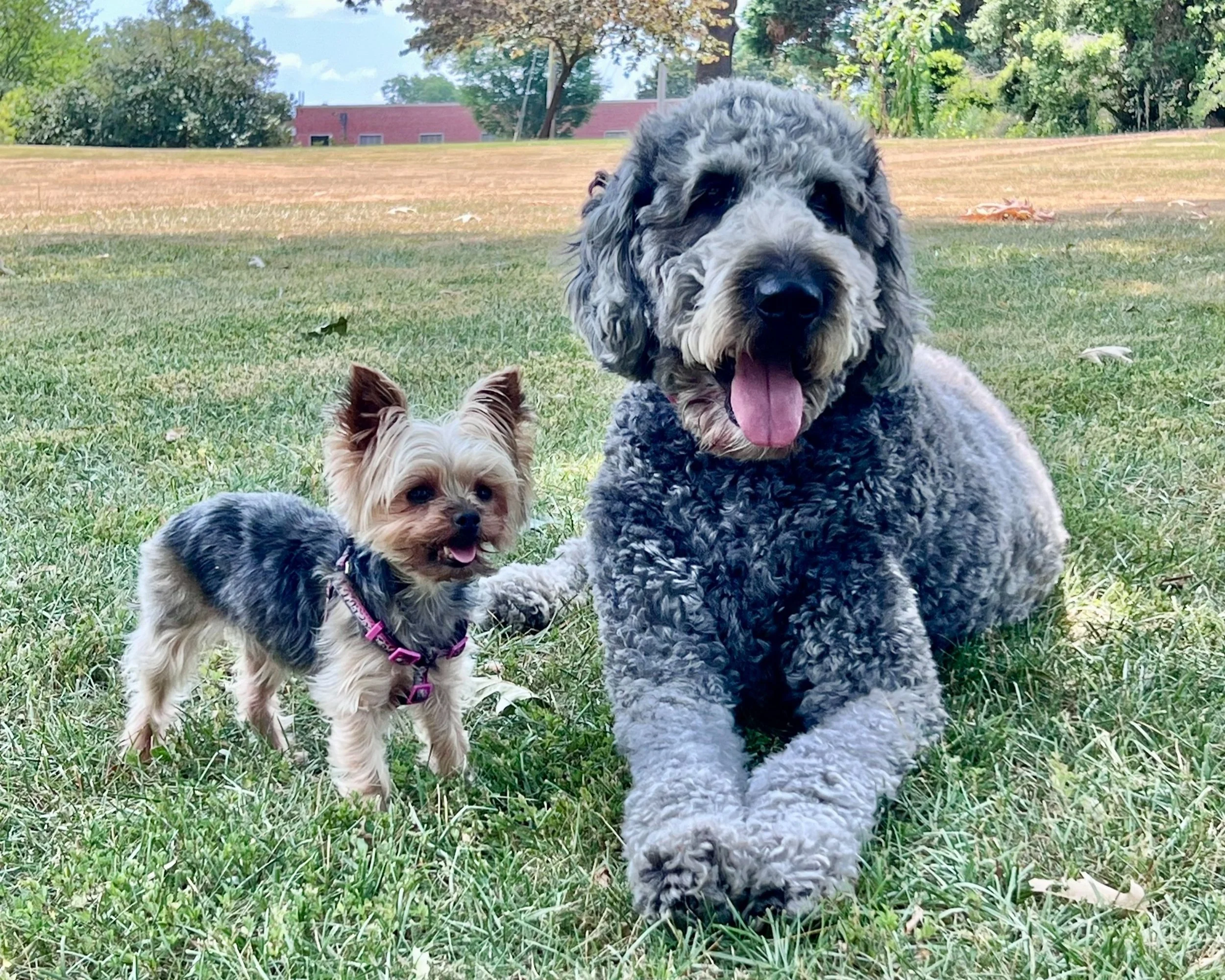 Smiling Insurance Agent Gerald Bailey Insurance - Griffin, GA