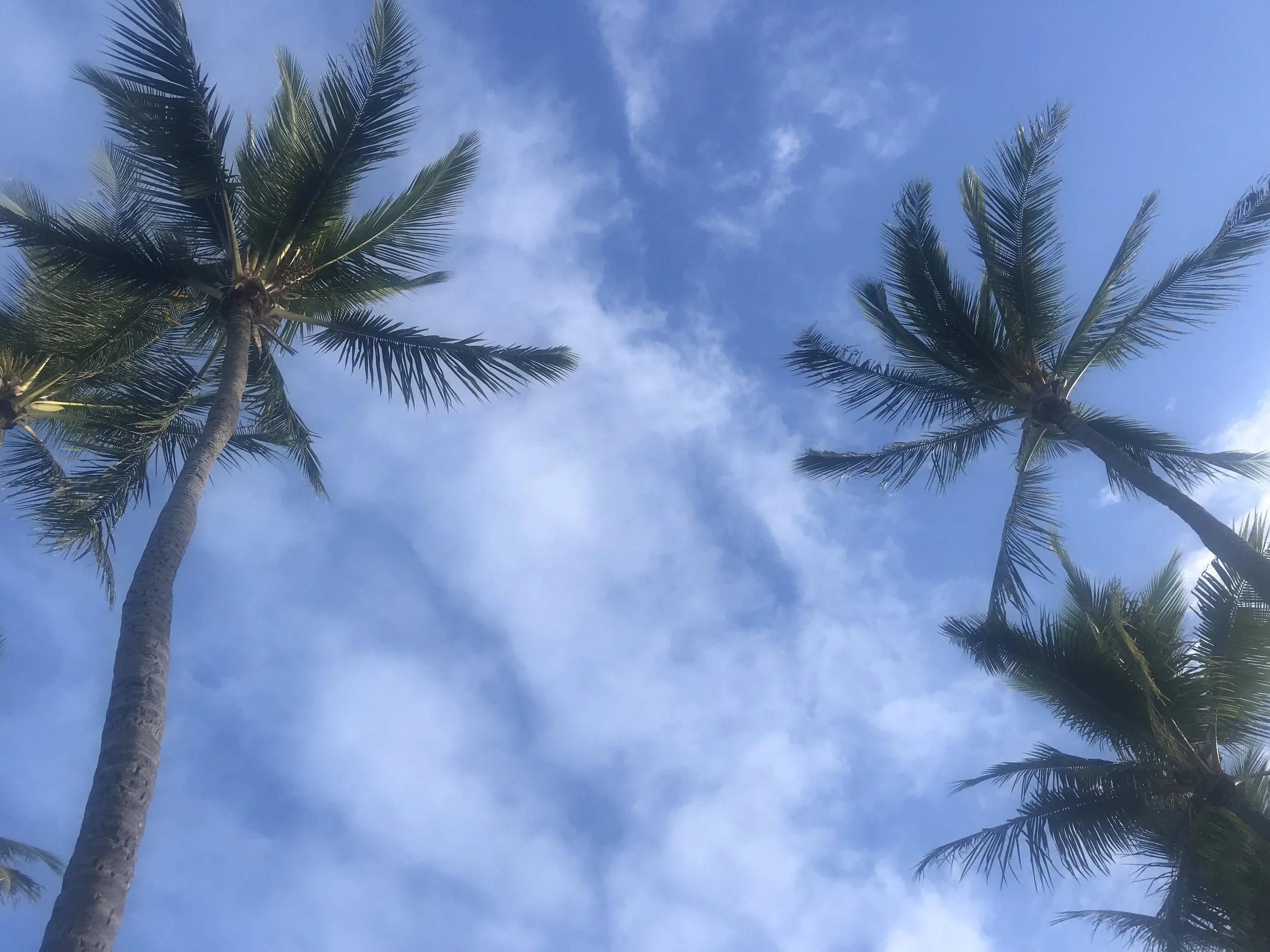 Stop Dreaming About Hawaii