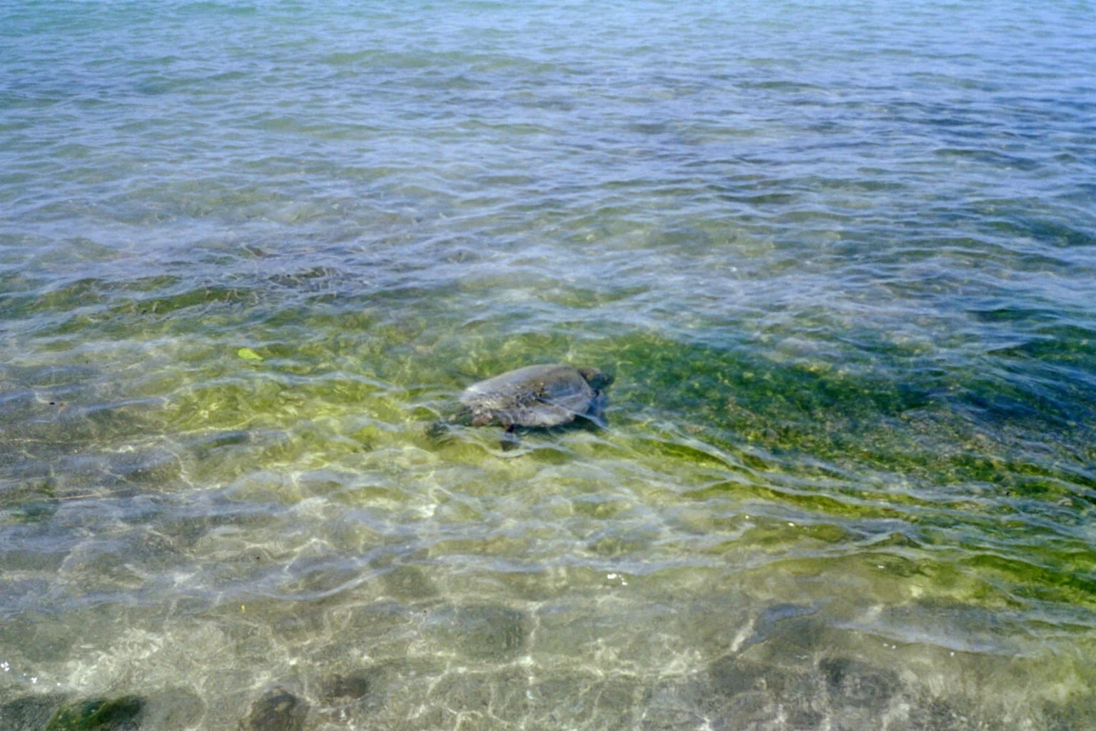 IMG021.jpg