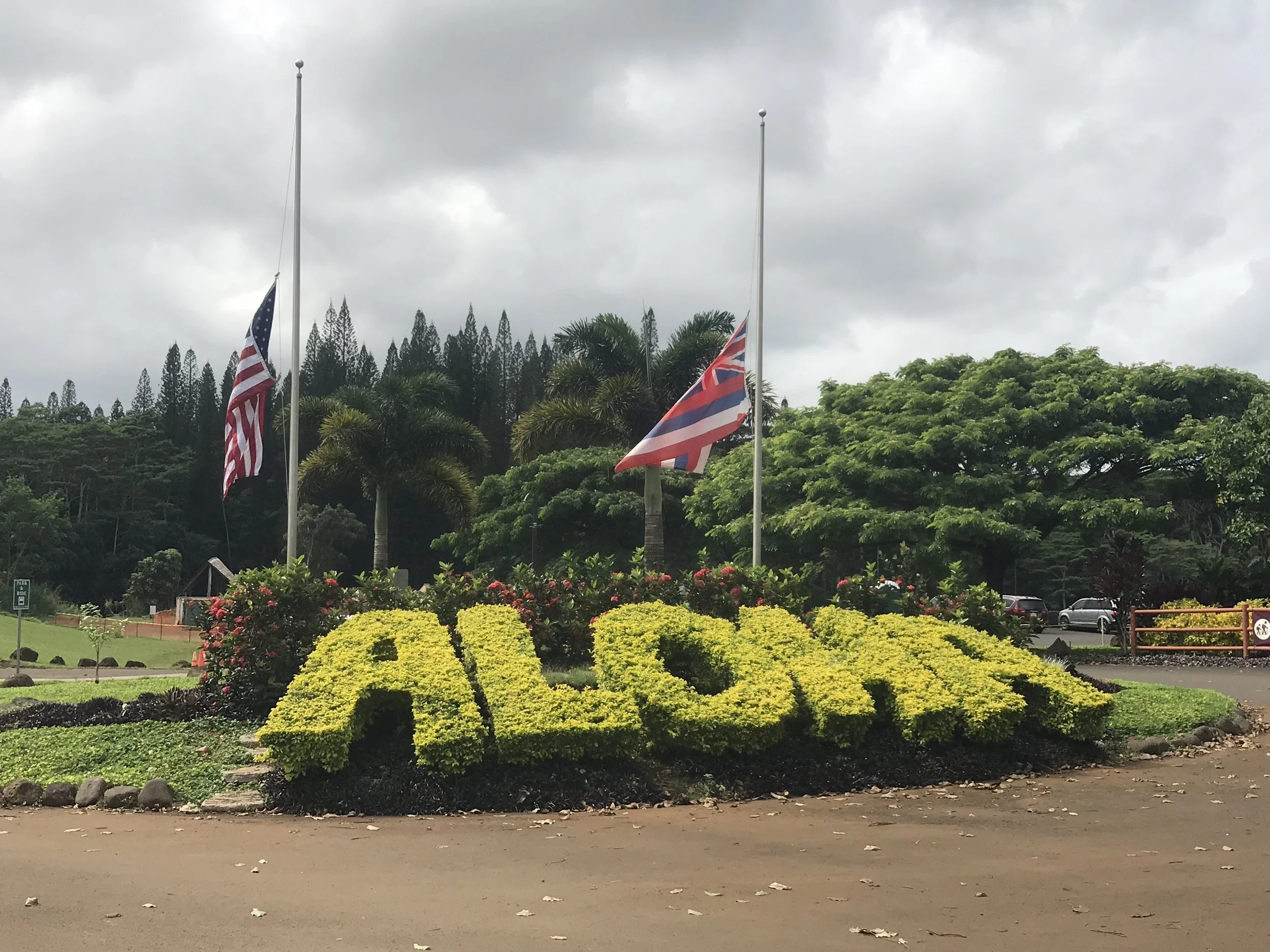 Hawaiian Organizations We Support