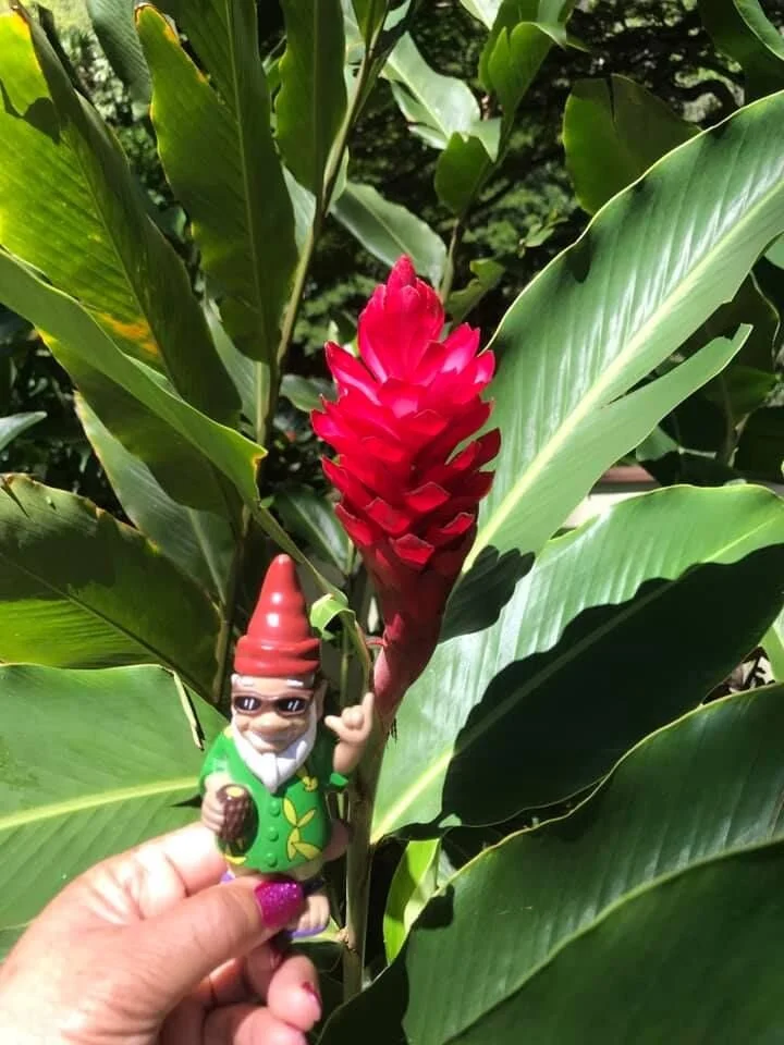 Hidden Hawaii: Oahu Edition