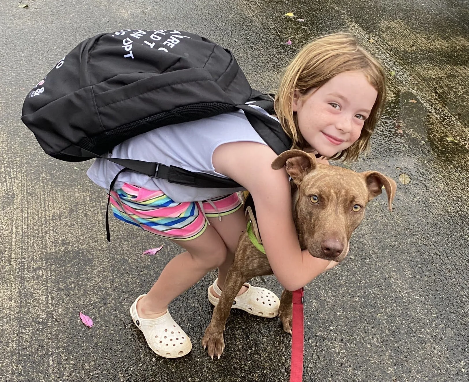 Kauai Goes to the Dogs