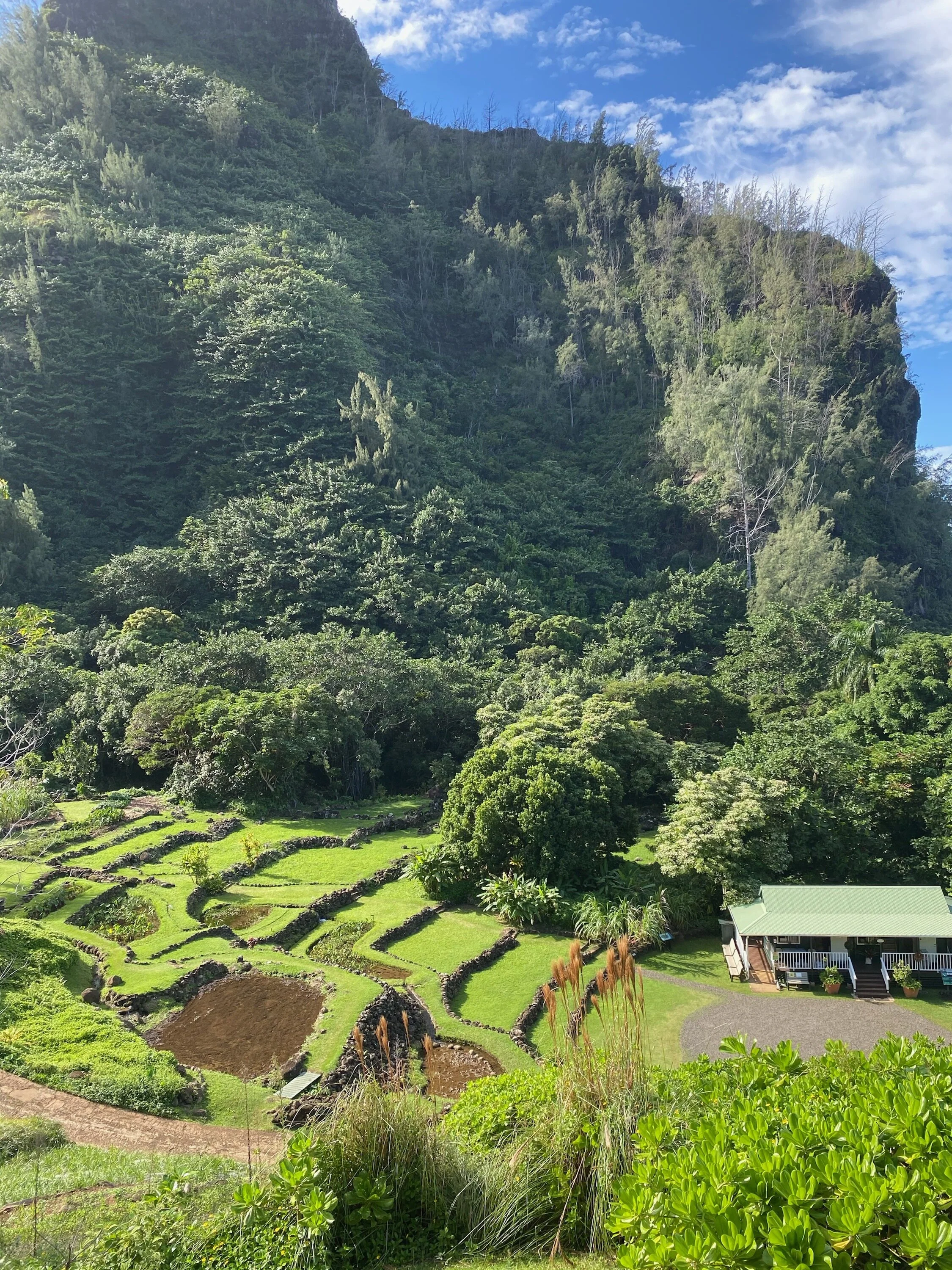 Kristin's Five Favorite Kauai Spots 